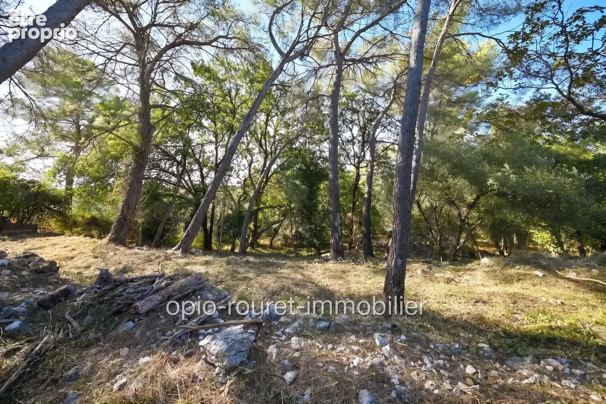 Terrain 2 500 m² à vendre à Roquefort-Les-Pins (06330) - photo 5
