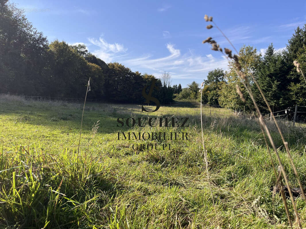 Terrain à BERLES-MONCHEL