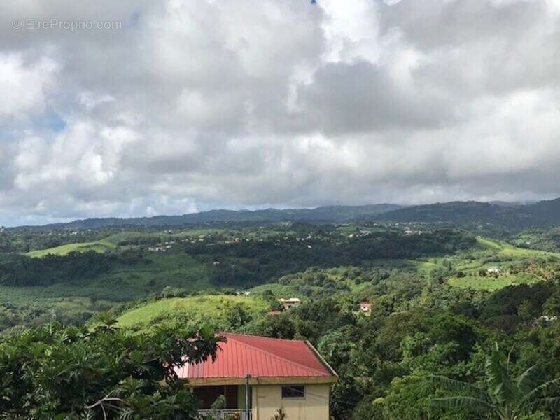 Terrain à LA TRINITE
