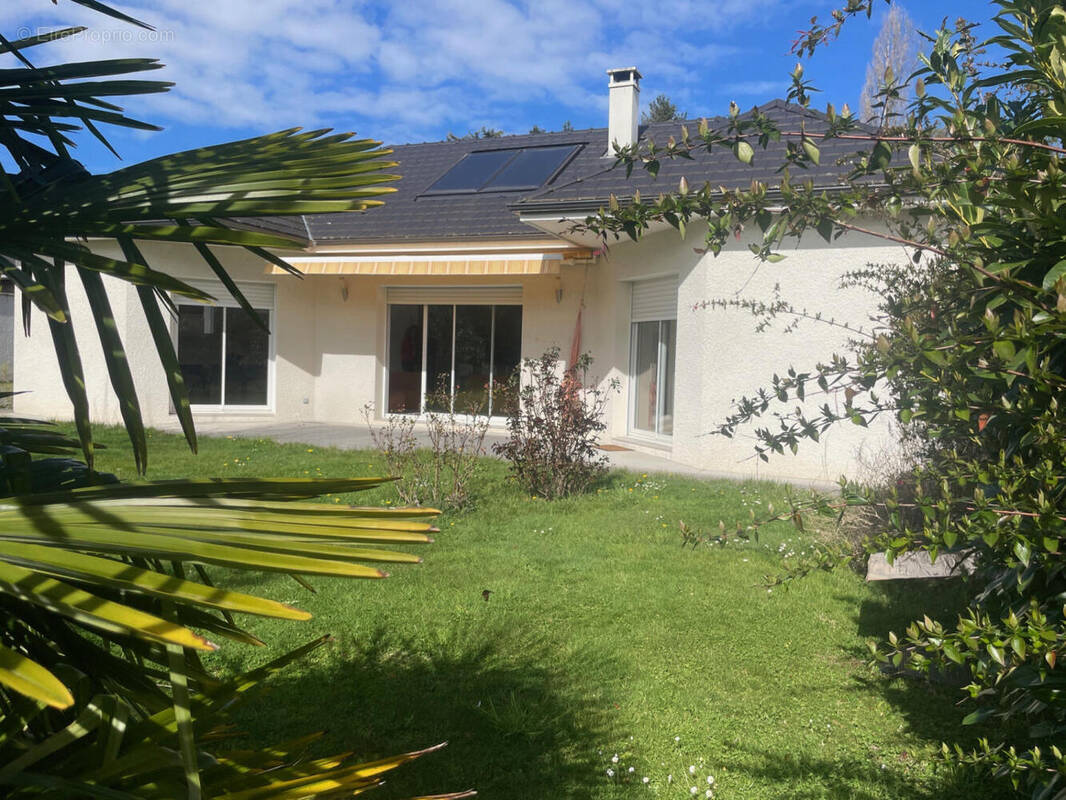 IMG_8503 - Maison à OLORON-SAINTE-MARIE