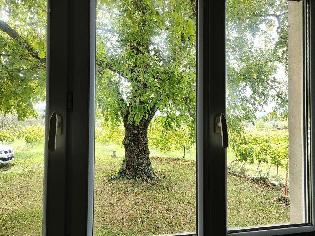 Maison à PERNES-LES-FONTAINES