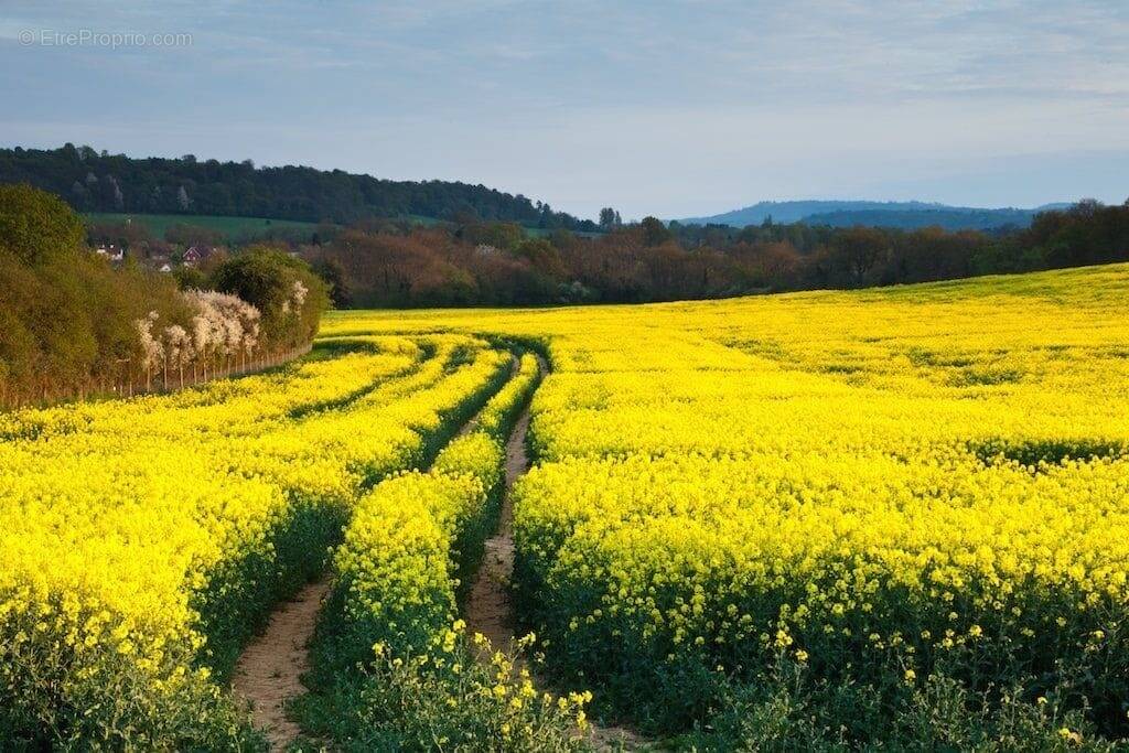 Terrain à LE POIRE-SUR-VIE