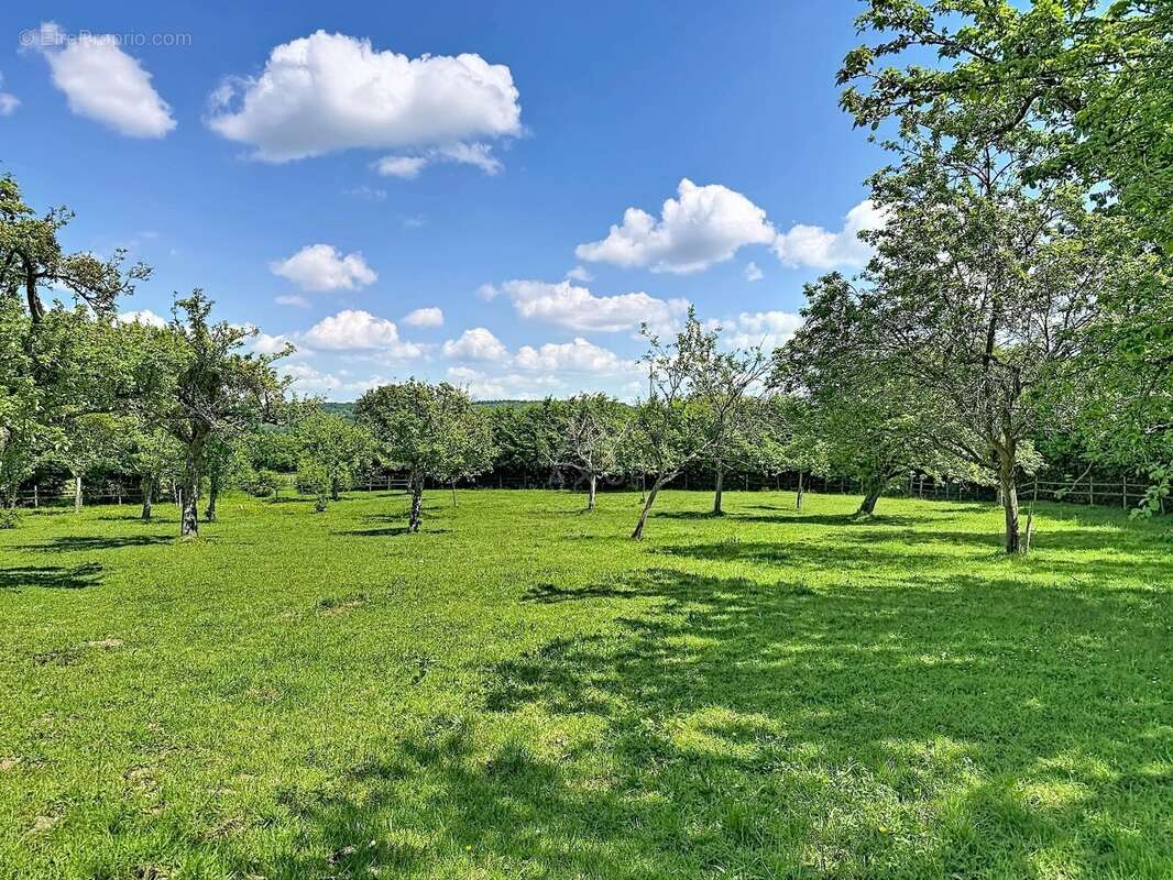 Propriété normande rénovée avec gîte, dépendances et herbage - photo 21