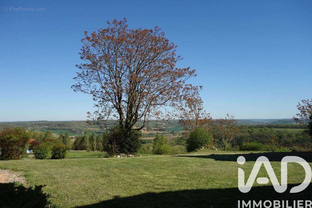 Maison 360 m² à Castelculier  - photo 9