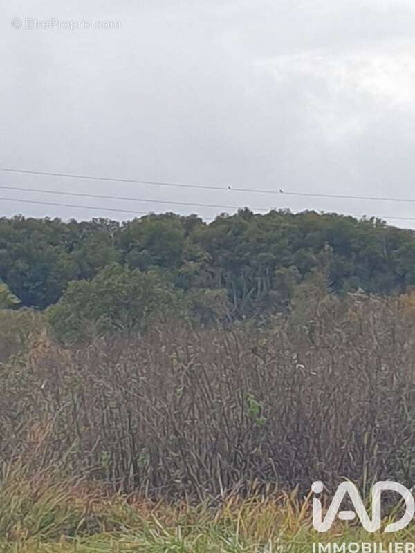 Photo 3 - Terrain à BUZET-SUR-BAISE