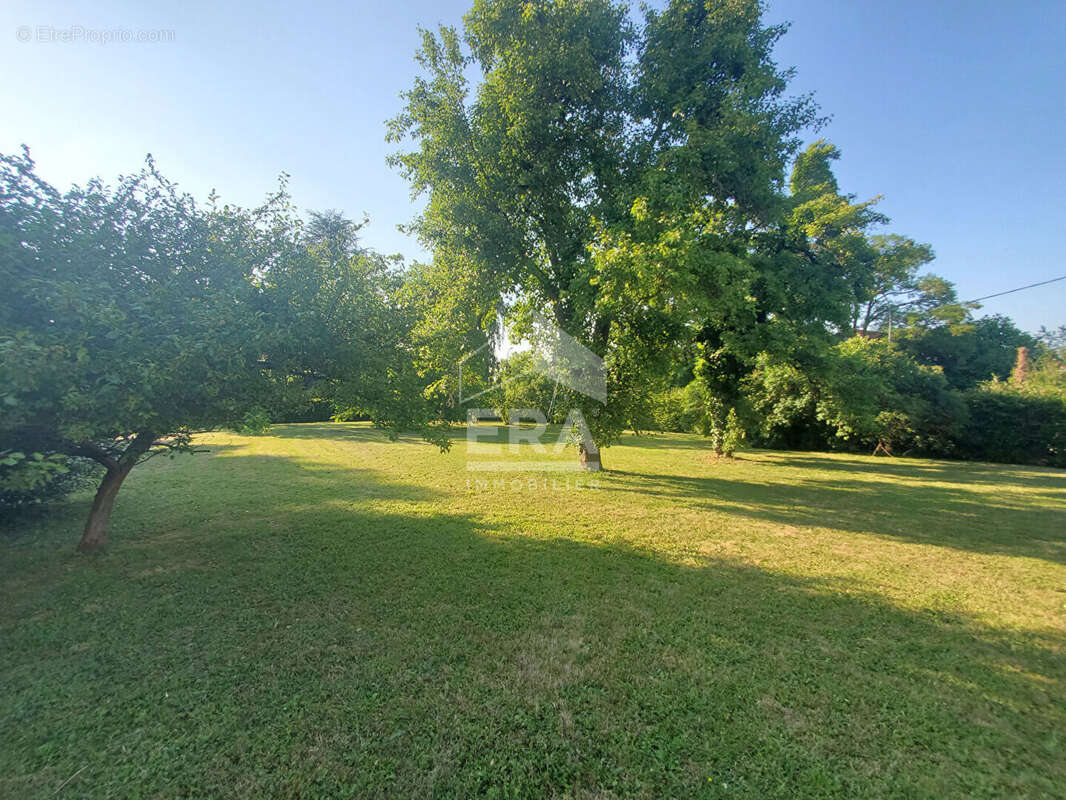 Terrain à LES GRANGES-LE-ROI