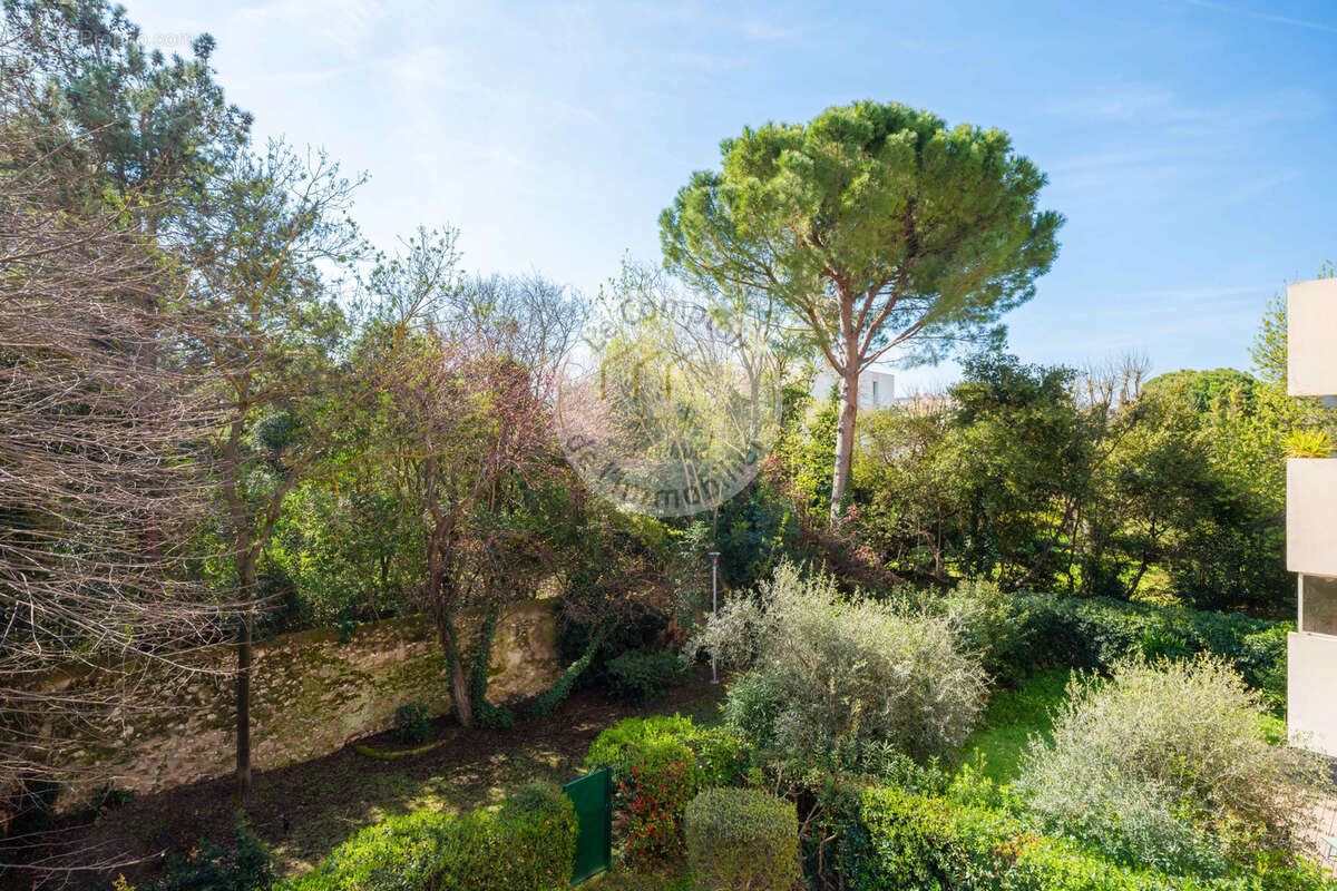 Appartement à MARSEILLE-9E