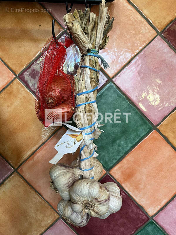 Appartement à CONQUES