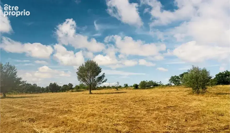 Terrain à VILLENEUVE-MINERVOIS