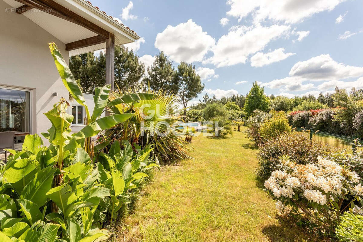 Maison à PARENTIS-EN-BORN