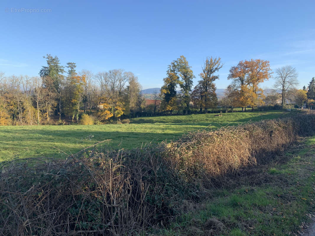 Terrain à LE BREUIL