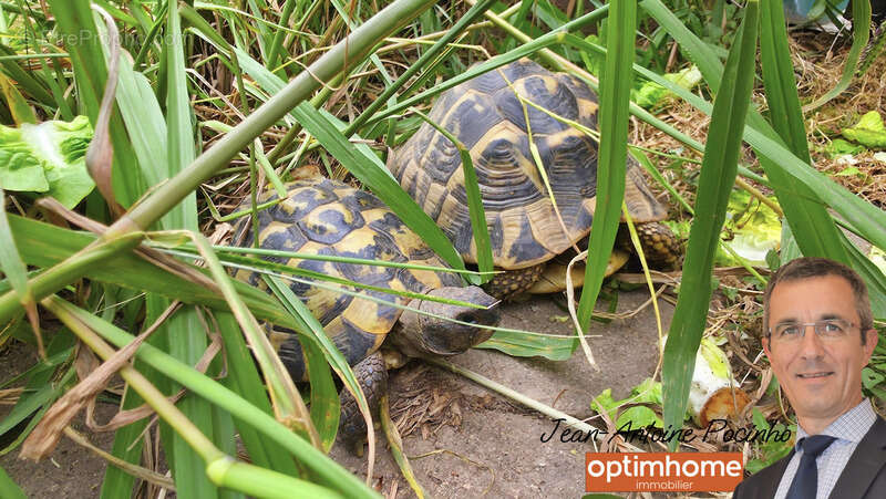 Appartement à SAINTE-FOY-DE-PEYROLIERES