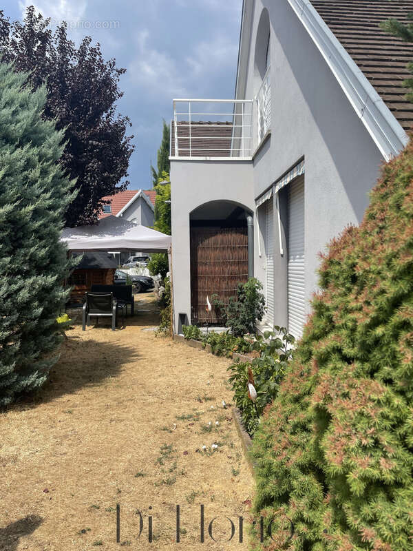 Nordheim - Maison d’architecte aux volumes remarquables 310m2 avec appartement indépendant - photo 46