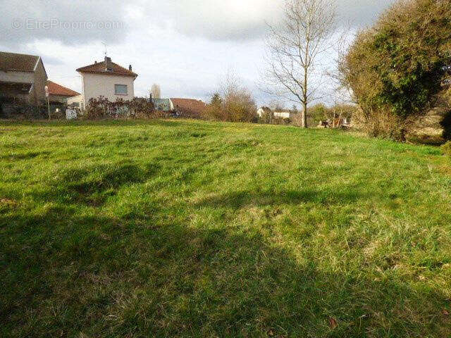 Maison 170 m² à Avricourt  - photo 3