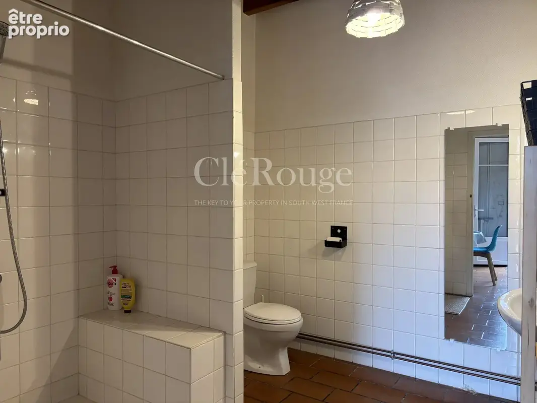 Tonneins - Demeure de caractère avec piscine et jardin arboré, six chambres au cœur de la ville - photo 20