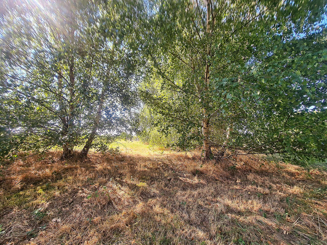 Terrain à BUSSIERE-GALANT