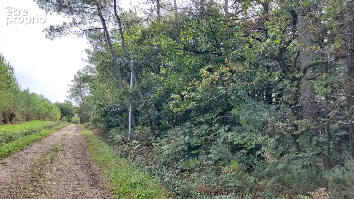 A VENDRE - Terrain boisé 4190m2 - LANGON - photo 6