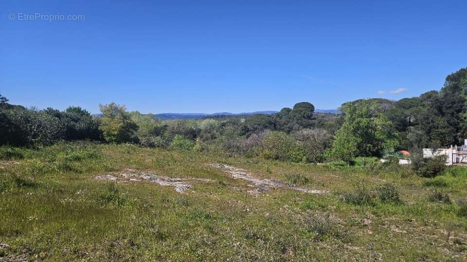 Terrain à ROQUEBRUNE-SUR-ARGENS