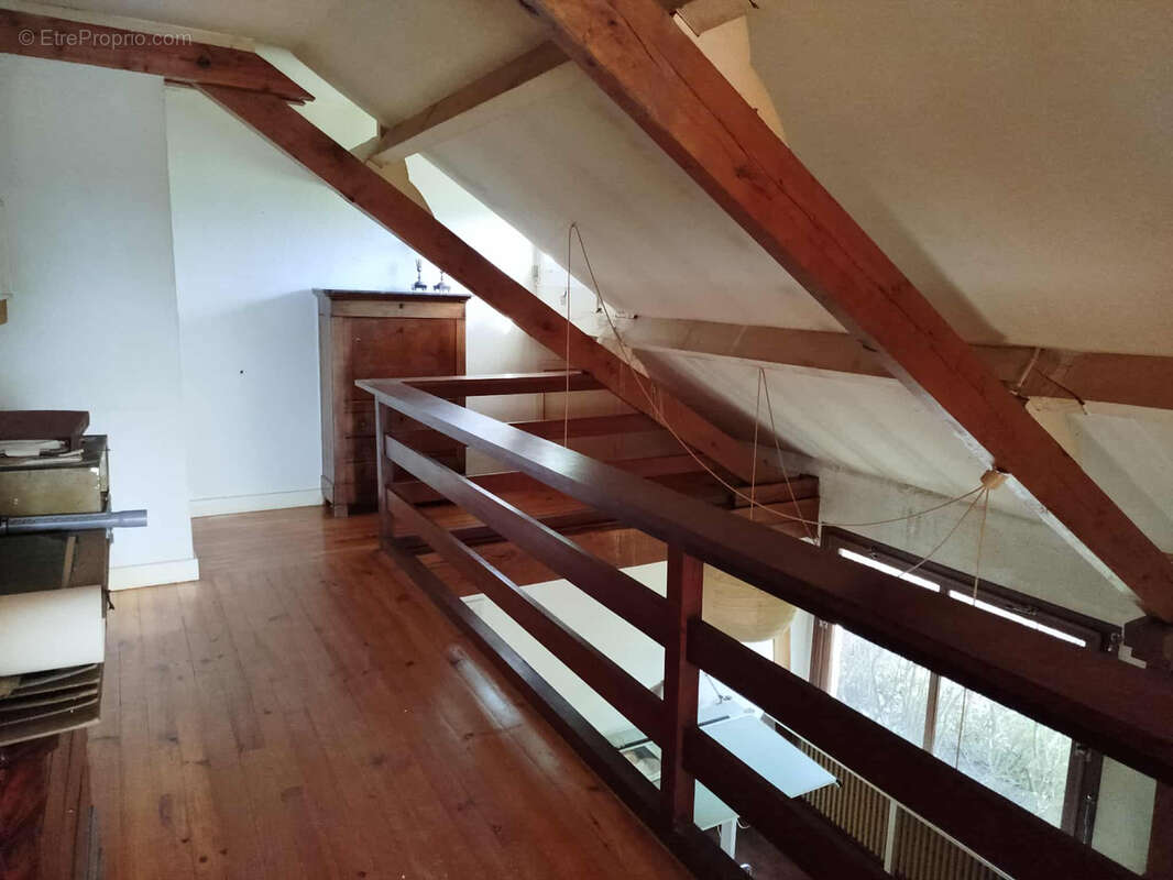 Bellerive sur allier, maison d'architecte avec travaux dans un parc arbore de 3 800 m2 - photo 14