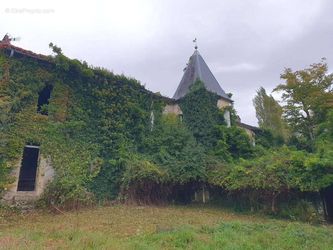 Commerce à RIONS
