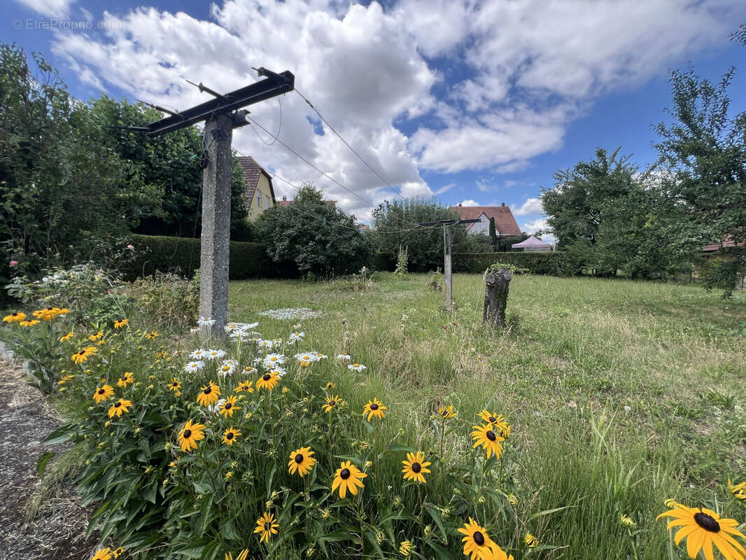 Terrain à WILLGOTTHEIM