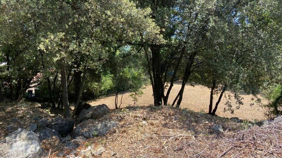 Terrain à CAMPS-LA-SOURCE