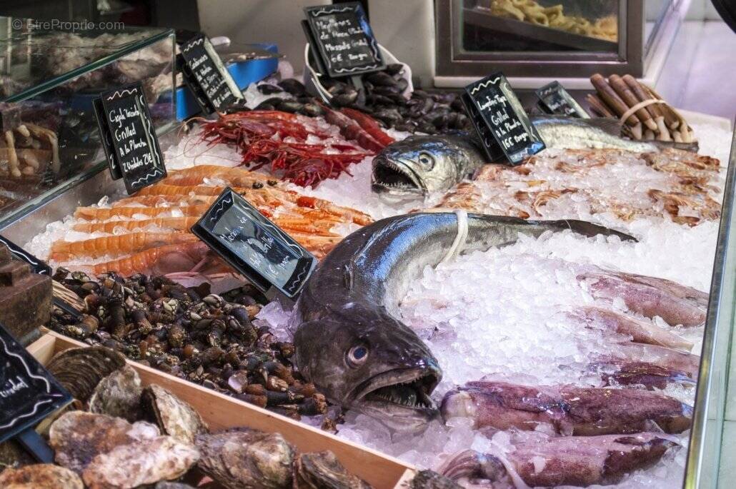 Commerce à CANNES