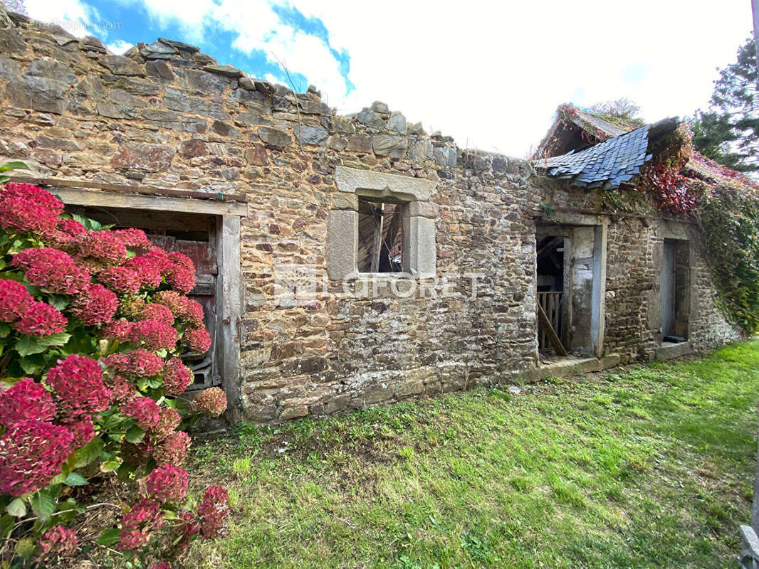 Maison  avec corps de ferme Ploëzal 5 pièce(s) 110 m2 - photo 15
