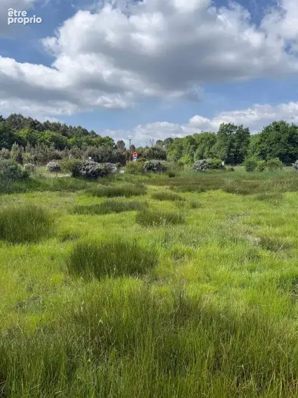 Photo Terrain à Salaunes au prix de 147 000€
