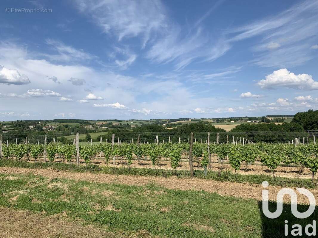 Photo 6 - Maison à SAINT-VIVIEN-DE-MONSEGUR