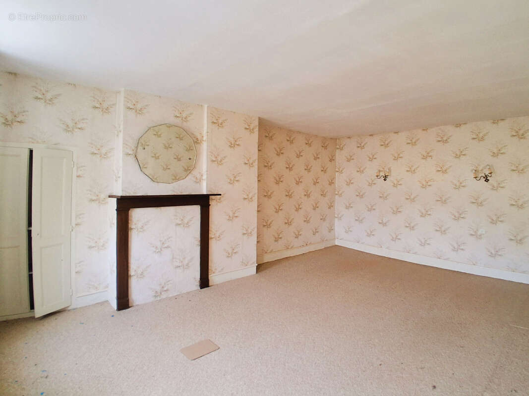 Maison à OUZOUER-SUR-TREZEE