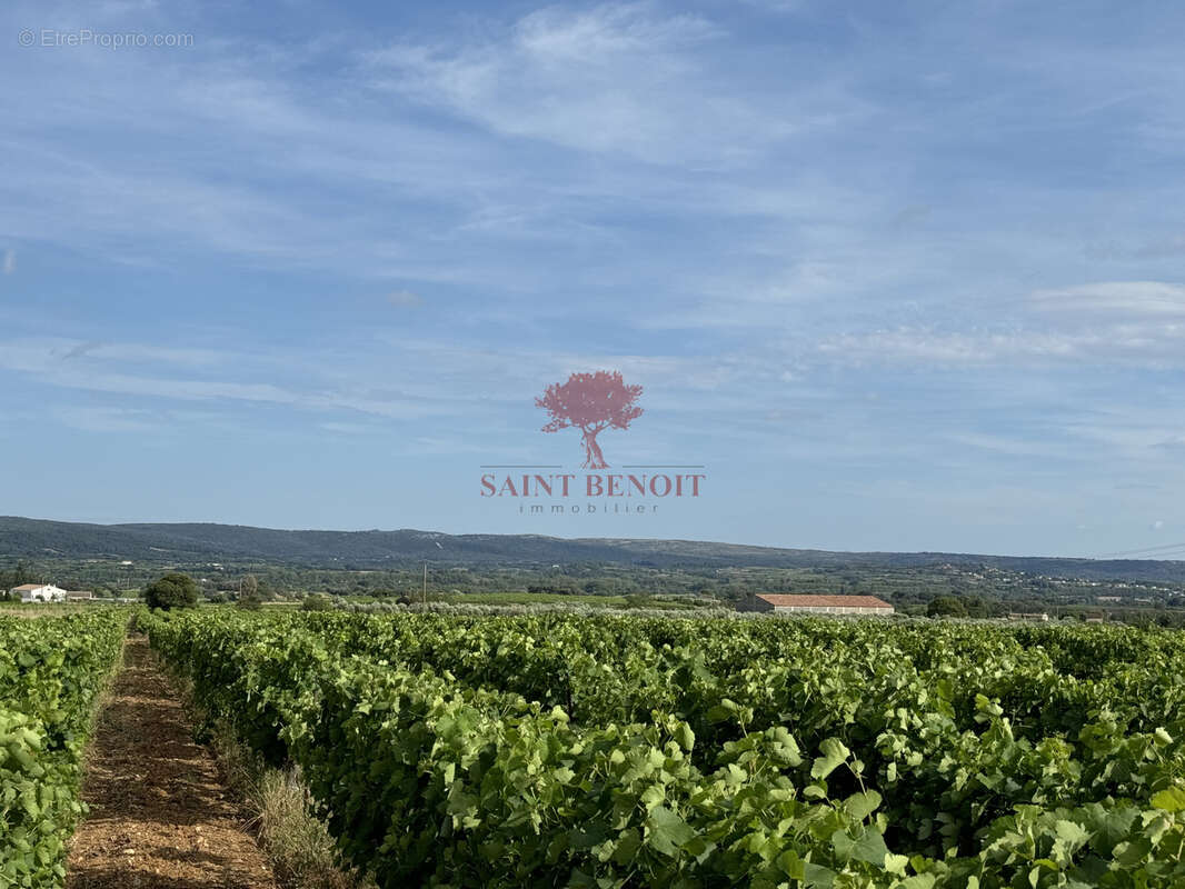 Terrain à SAINT-JEAN-DE-FOS