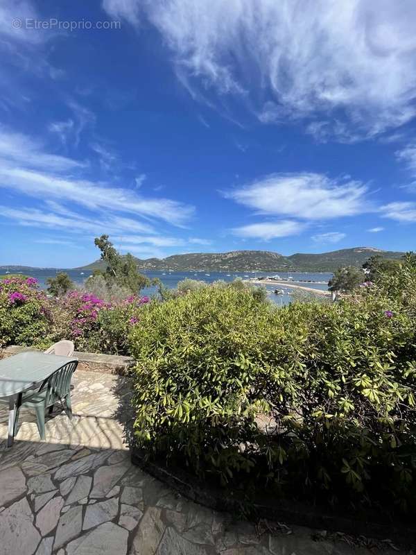 Maison à PORTO-VECCHIO