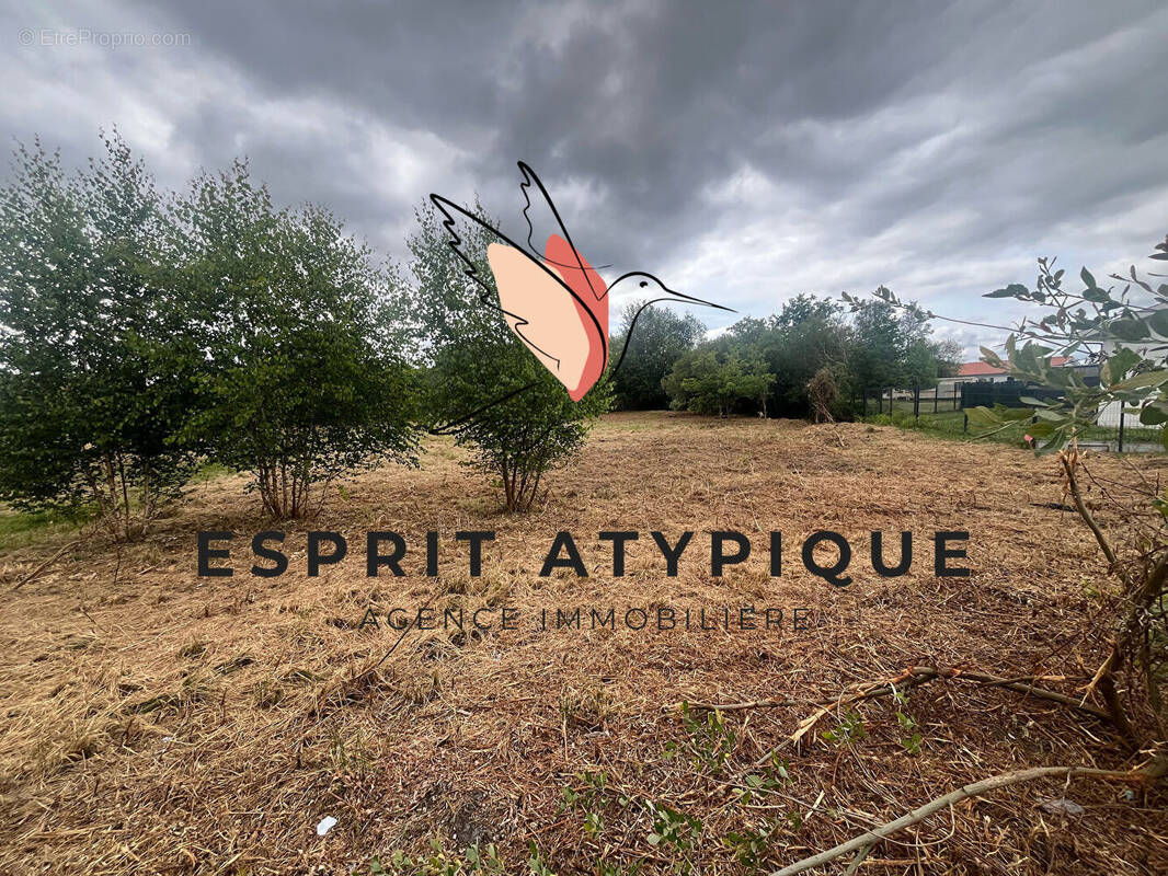 Photo 1 - Terrain à BISCARROSSE