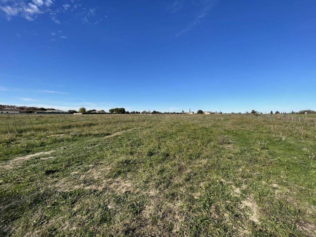 Terrain à GALLARGUES-LE-MONTUEUX