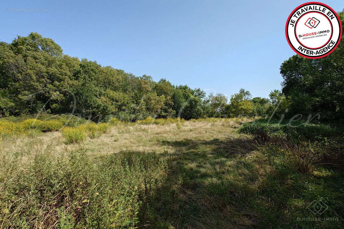 Terrain à SAINT-VIVIEN-DE-MEDOC