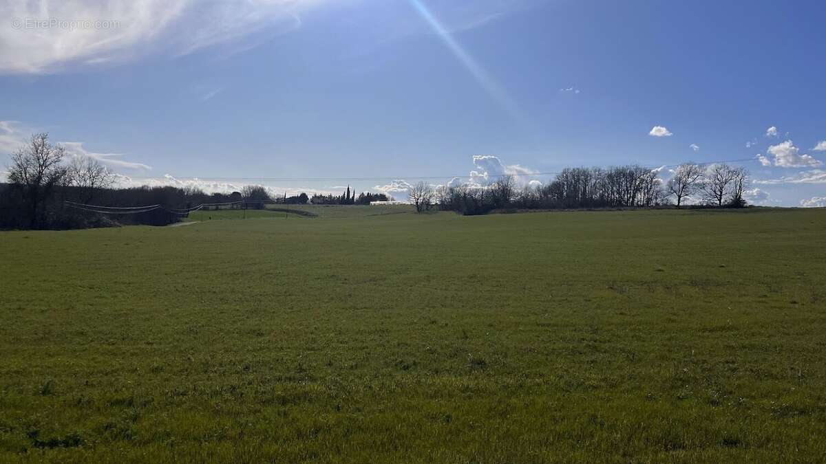 Roquecor - Ancien Prieuré du 15e Siècle avec Gîtes, Terrain Arboré et cave voutée. - photo 12