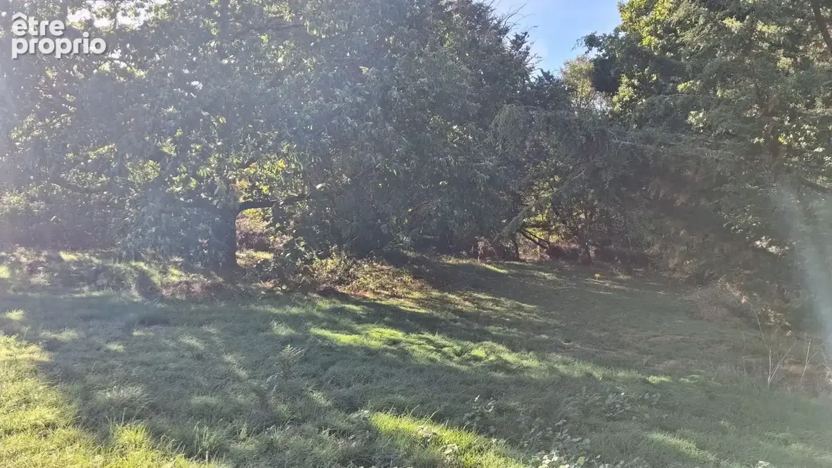Terrain à bâtir de 3000 m² à SAINT-JULIEN-DES-LANDES (85) - photo 1