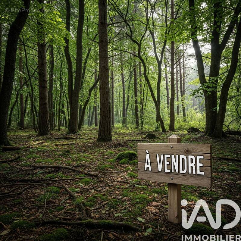 Photo 1 - Terrain à ARSAC