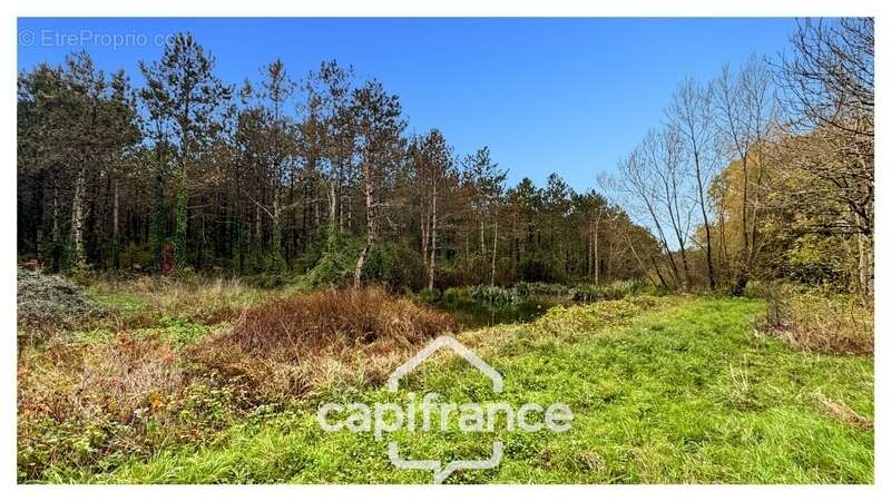 Maison à MONFLANQUIN