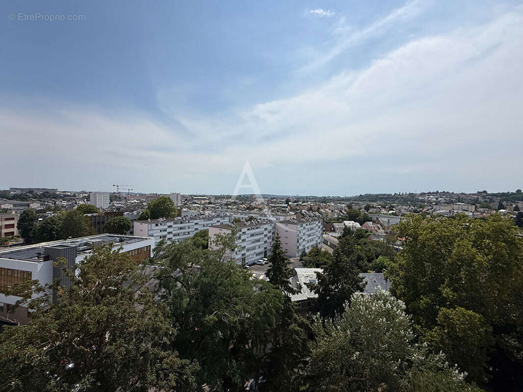 Saint-pavin - 54.97m² - cave - photo 10