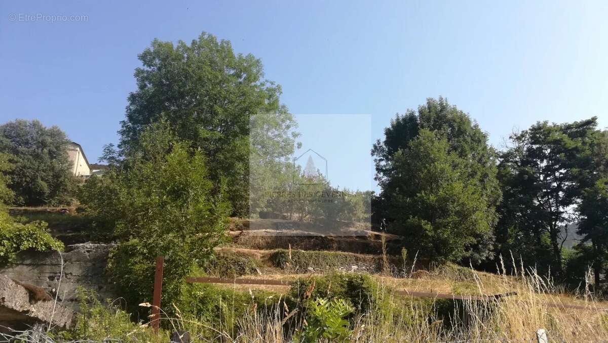 Terrain à LE COLLET-DE-DEZE
