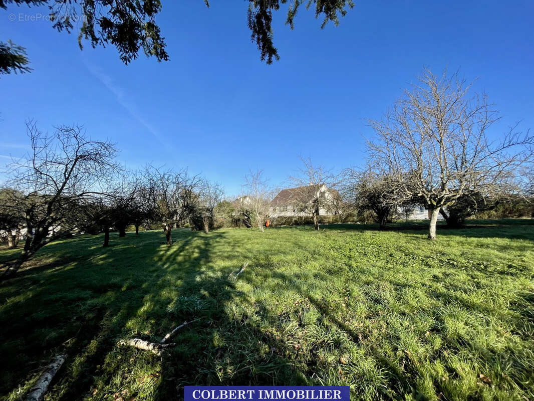 Terrain à Bâtir de 900 m2 à Toucy - photo 2