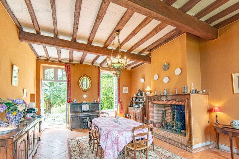 CHATEAU de famille du 17e siècle en très bon état à vendre à GIBEL - photo 10