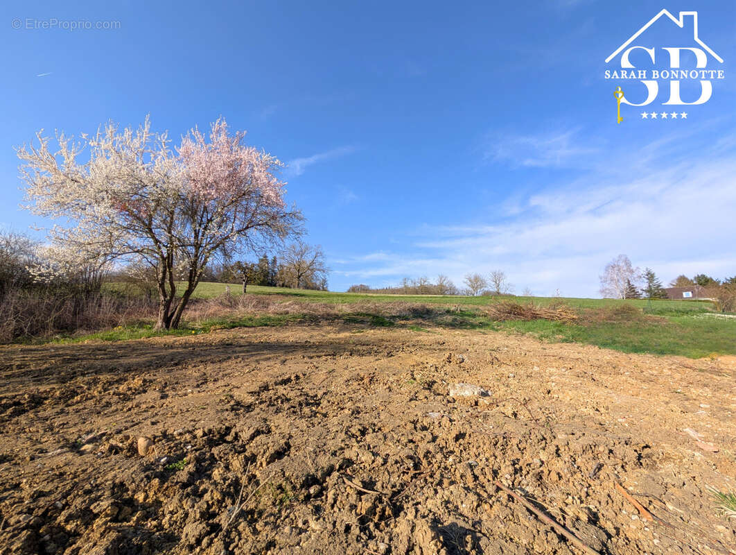 Terrain à WALDIGHOFEN