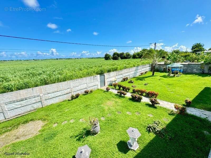 Maison à SAINT-FRANCOIS