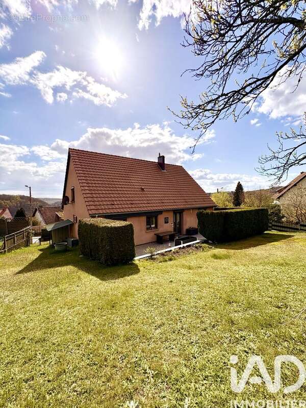 Photo 2 - Maison à HOMBOURG-HAUT