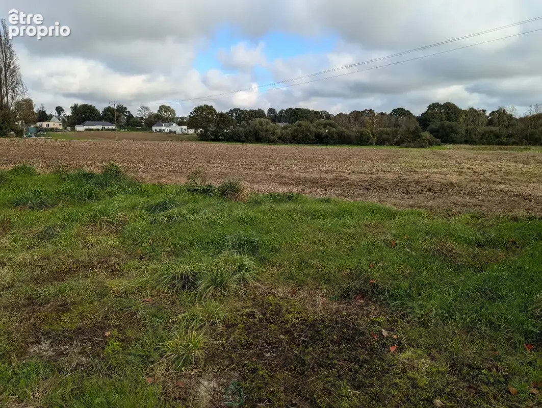 Longère en pierre avec dépendances sur 5 hectares  Charme et potentiel à la campagne - photo 15