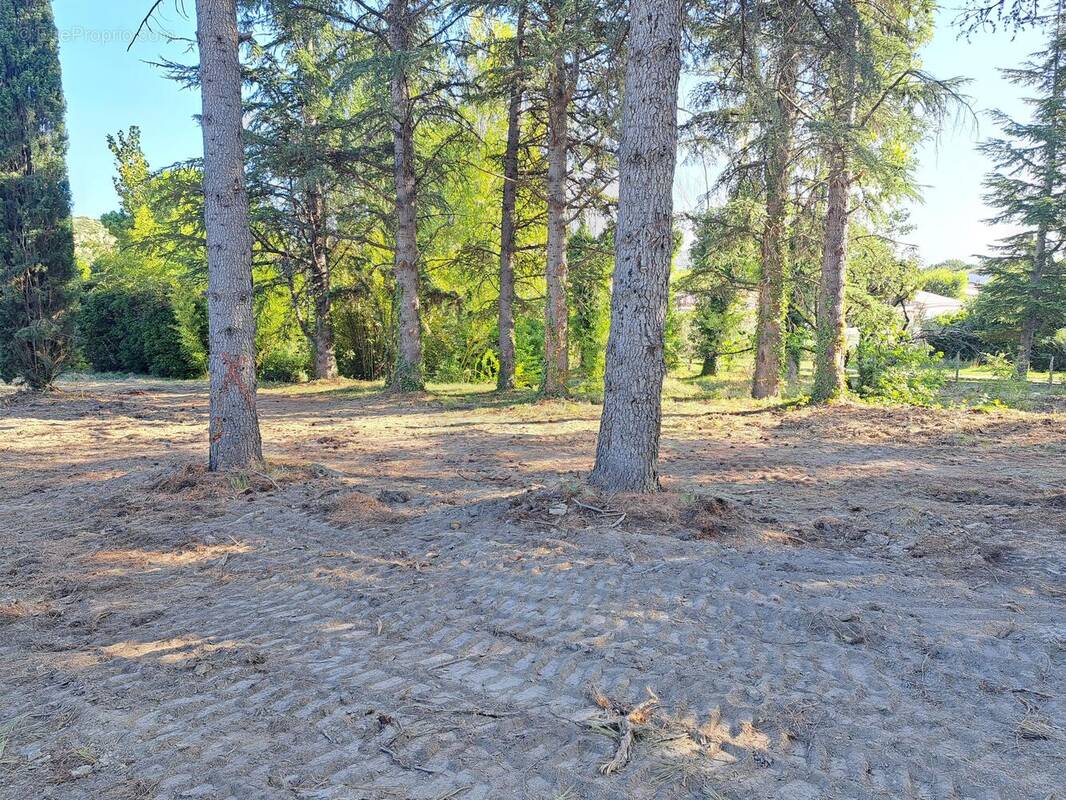 Photo 1 - Terrain à PELISSANNE