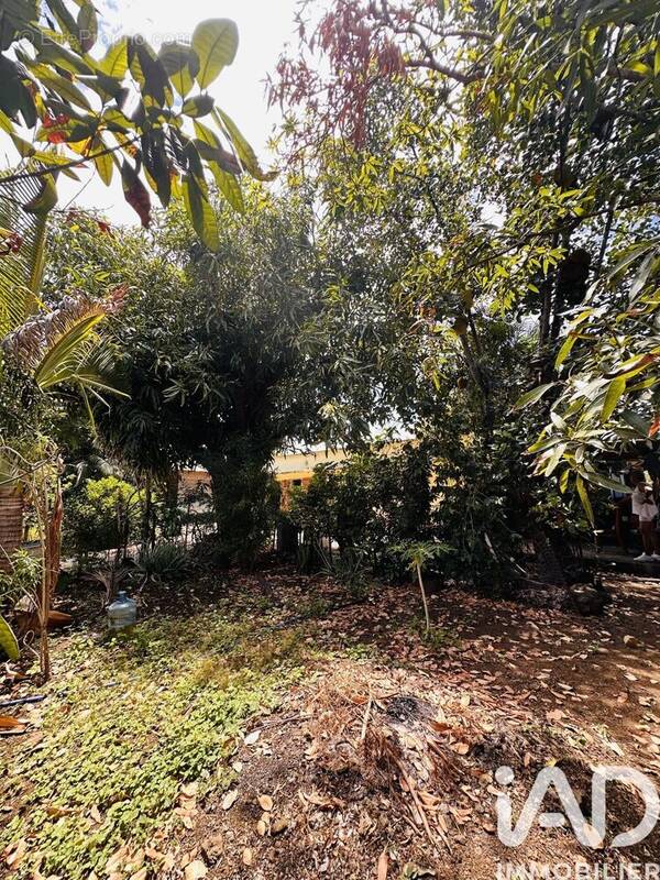 Photo 1 - Maison à SAINT-PIERRE